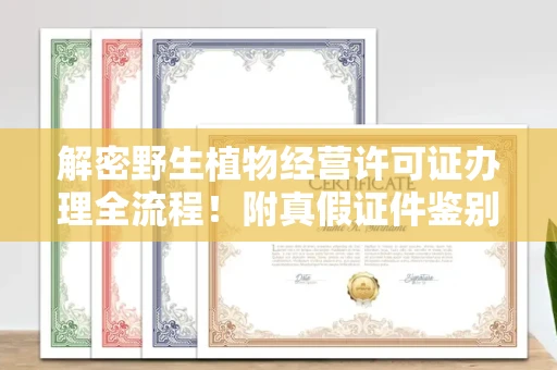 全国解密野生植物经营许可证办理全流程!附真假证件鉴别方法