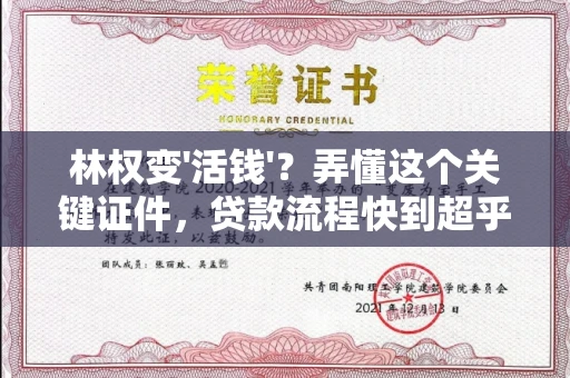 全国林权变'活钱'?弄懂这个关键证件,贷款流程快到超乎想象!